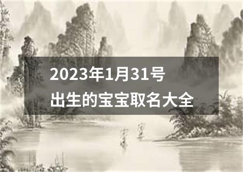 2023年1月31号出生的宝宝取名大全