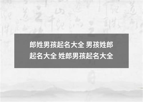 郎姓男孩起名大全 男孩姓郎起名大全 姓郎男孩起名大全