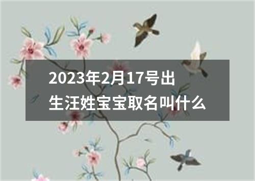 2023年2月17号出生汪姓宝宝取名叫什么