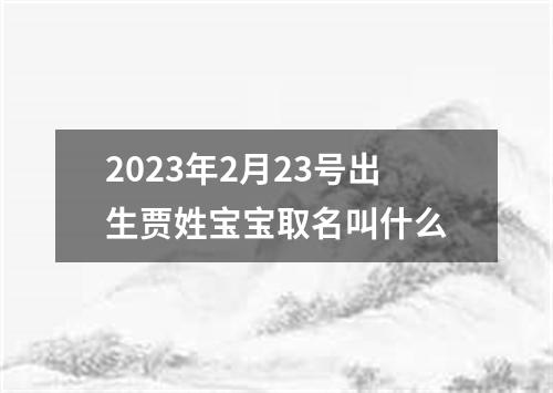 2023年2月23号出生贾姓宝宝取名叫什么