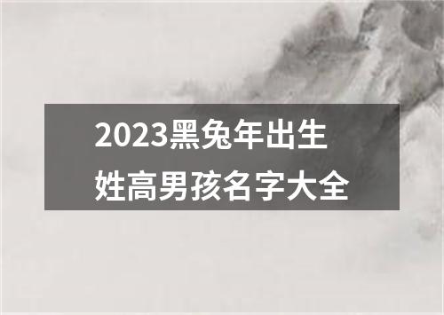 2023黑兔年出生姓高男孩名字大全