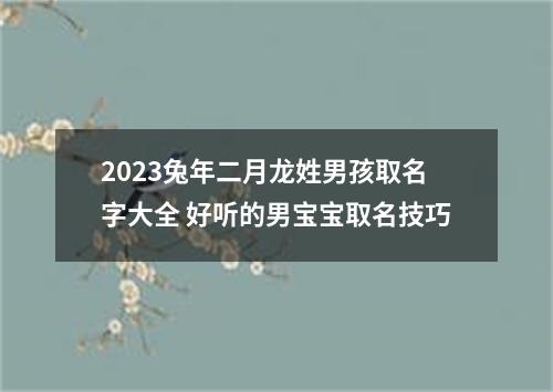 2023兔年二月龙姓男孩取名字大全 好听的男宝宝取名技巧
