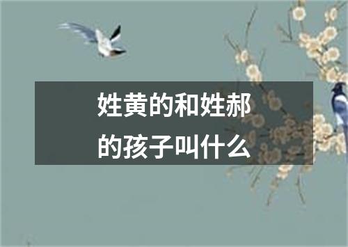 姓黄的和姓郝的孩子叫什么