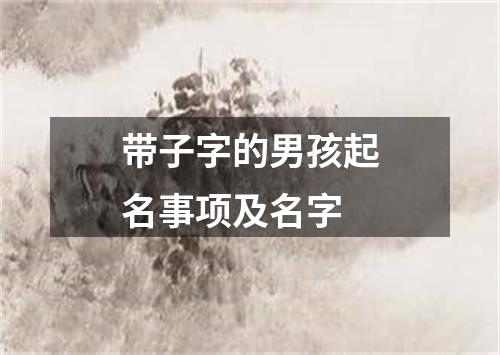 带子字的男孩起名事项及名字