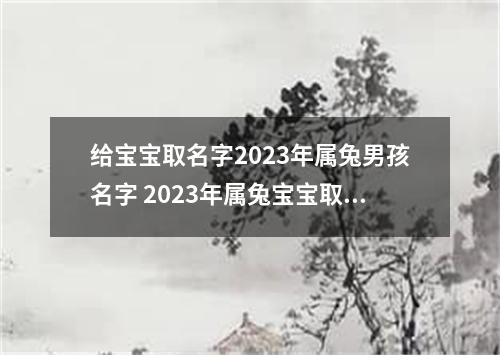 给宝宝取名字2023年属兔男孩名字 2023年属兔宝宝取名男宝