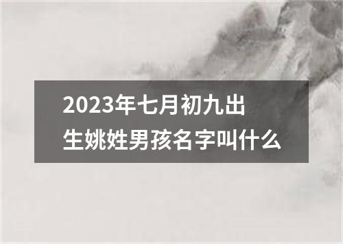 2023年七月初九出生姚姓男孩名字叫什么