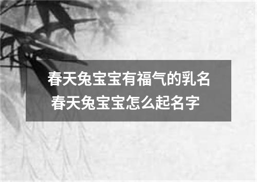 春天兔宝宝有福气的乳名 春天兔宝宝怎么起名字