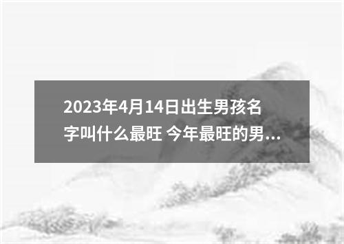 2023年4月14日出生男孩名字叫什么最旺 今年最旺的男孩名字推荐