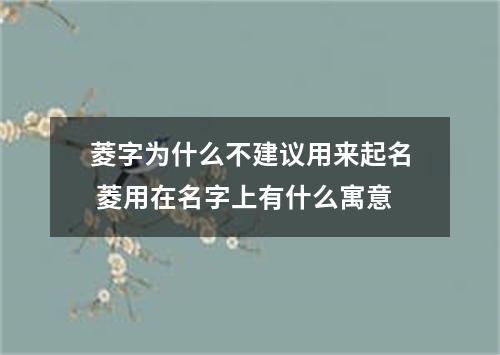 菱字为什么不建议用来起名 菱用在名字上有什么寓意