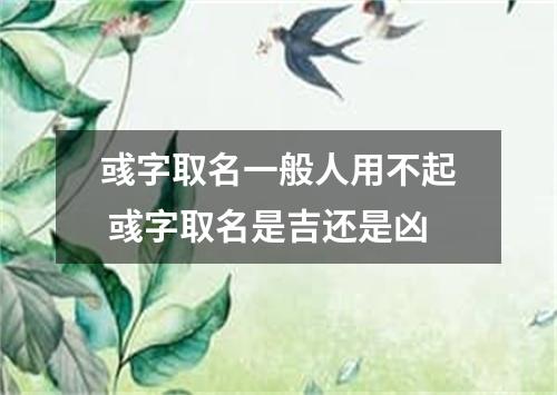 彧字取名一般人用不起 彧字取名是吉还是凶