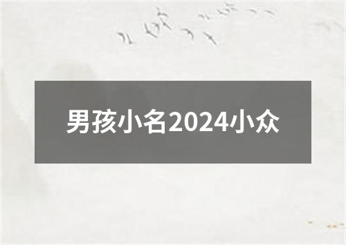 男孩小名2024小众