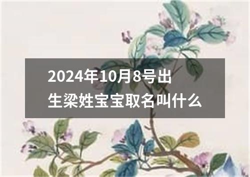 2024年10月8号出生梁姓宝宝取名叫什么