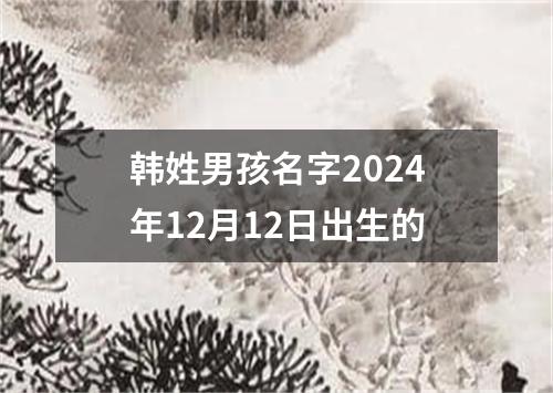 韩姓男孩名字2024年12月12日出生的