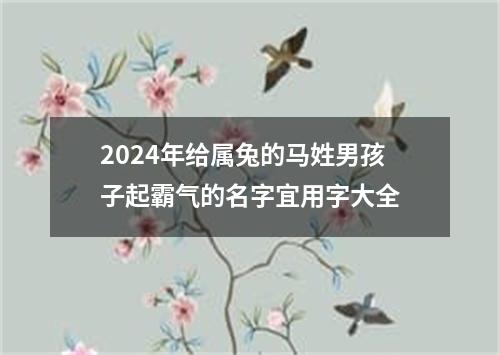 2024年给属兔的马姓男孩子起霸气的名字宜用字大全
