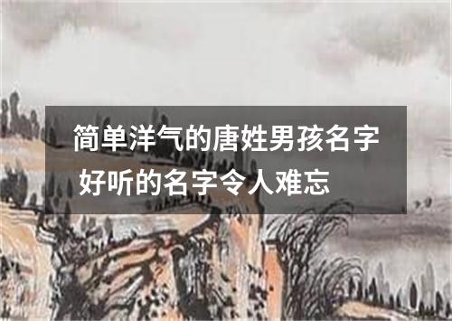 简单洋气的唐姓男孩名字 好听的名字令人难忘