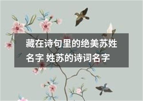 藏在诗句里的绝美苏姓名字 姓苏的诗词名字