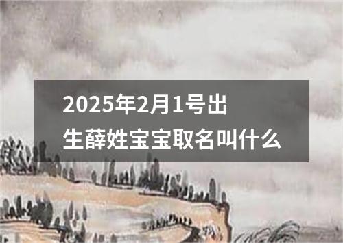 2025年2月1号出生薛姓宝宝取名叫什么
