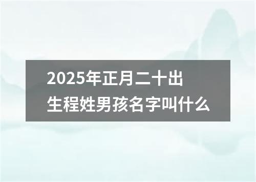 2025年正月二十出生程姓男孩名字叫什么