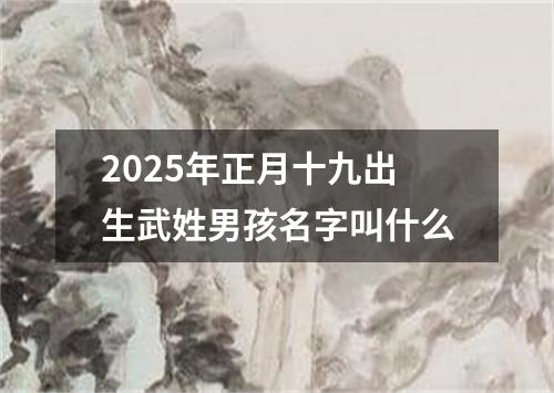 2025年正月十九出生武姓男孩名字叫什么