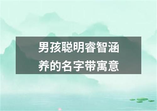 男孩聪明睿智涵养的名字带寓意