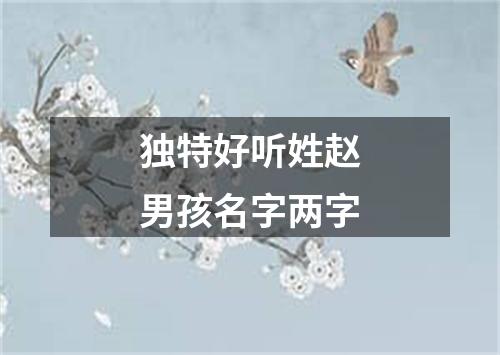 独特好听姓赵男孩名字两字