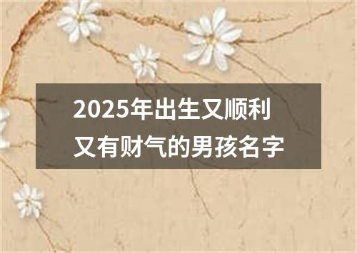 2025年出生又顺利又有财气的男孩名字