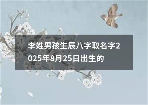 李姓男孩生辰八字取名字2025年8月25日出生的