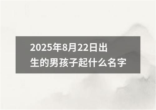 2025年8月22日出生的男孩子起什么名字