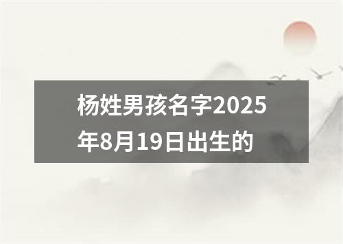 杨姓男孩名字2025年8月19日出生的