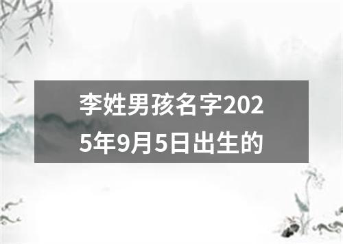 李姓男孩名字2025年9月5日出生的