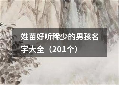 姓苗好听稀少的男孩名字大全（201个）