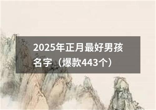 2025年正月最好男孩名字（爆款443个）