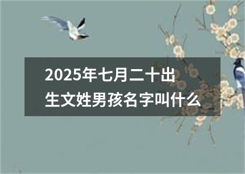 2025年七月二十出生文姓男孩名字叫什么