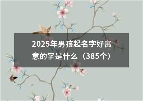 2025年男孩起名字好寓意的字是什么（385个）