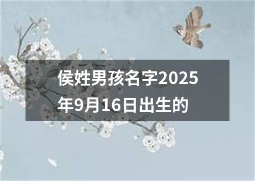 侯姓男孩名字2025年9月16日出生的