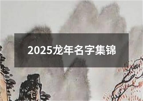 2025龙年名字集锦