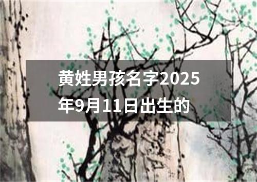 黄姓男孩名字2025年9月11日出生的