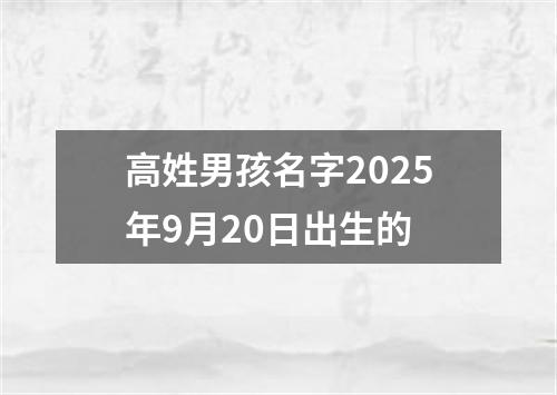 高姓男孩名字2025年9月20日出生的