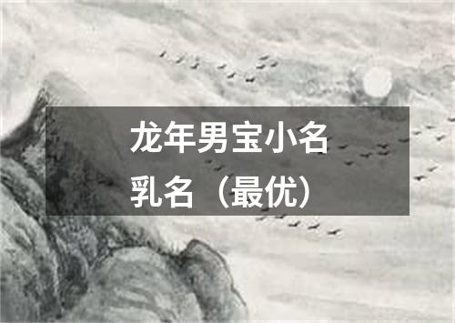 龙年男宝小名乳名(最优)