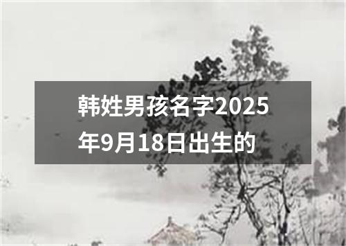 韩姓男孩名字2025年9月18日出生的