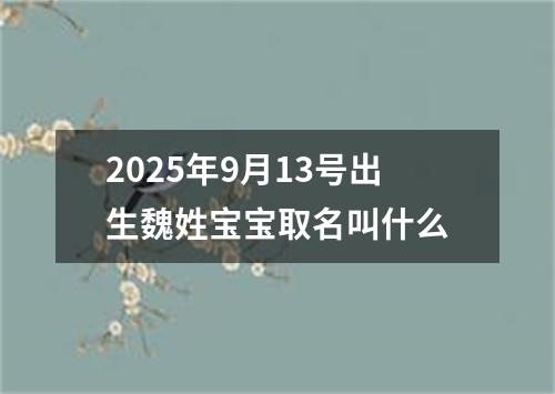 2025年9月13号出生魏姓宝宝取名叫什么