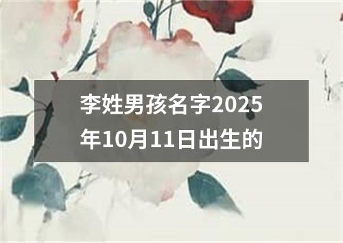 李姓男孩名字2025年10月11日出生的