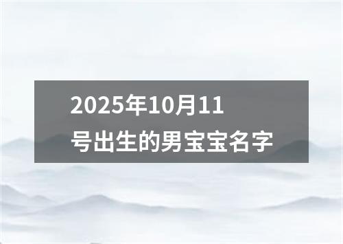 2025年10月11号出生的男宝宝名字
