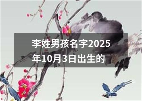 李姓男孩名字2025年10月3日出生的