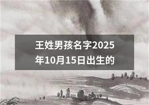 王姓男孩名字2025年10月15日出生的