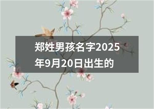 郑姓男孩名字2025年9月20日出生的