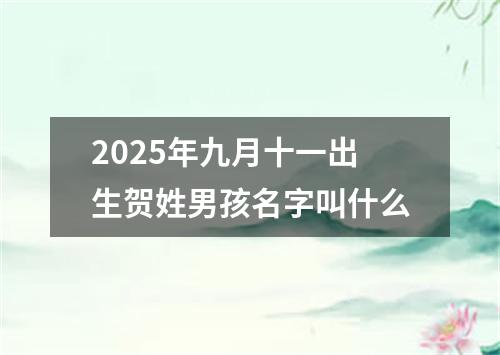 2025年九月十一出生贺姓男孩名字叫什么