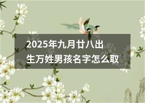 2025年九月廿八出生万姓男孩名字怎么取