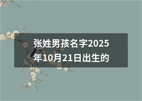 张姓男孩名字2025年10月21日出生的