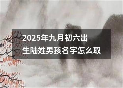 2025年九月初六出生陆姓男孩名字怎么取